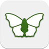 iRecord Butterflies icon