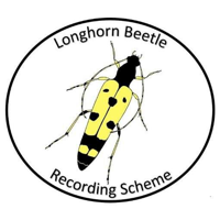 Longhorn Beetle Recording Scheme logo
