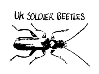 Soldier Beetles and Allies Recording Scheme logo
