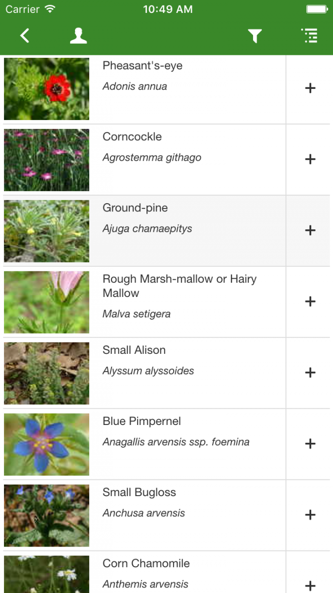 Rare Arable Flowers App Biological