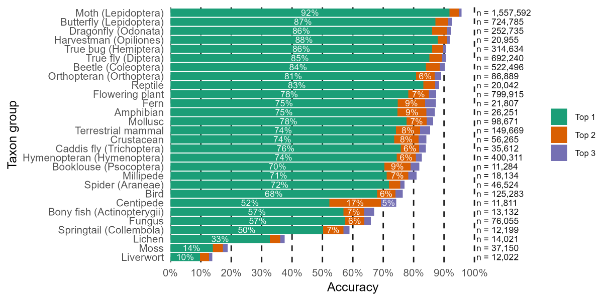 Chart showing variation in accuracy levels across different taxon groups, giving equal weight to every photo
