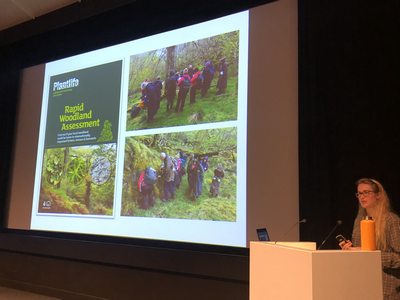 April Windle making links between lichen recording and habitat assessment (photo by Ashleigh Whiffin)