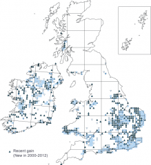 Map showing expansion of hairy dragonfly distribution