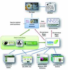 Diagram of partnerships in GB non native species information portal