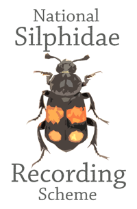Silphidae Recording Scheme logo