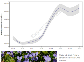 Trend plot for Viola hirta in Rock outcrops, cliffs and scree broad habitat.