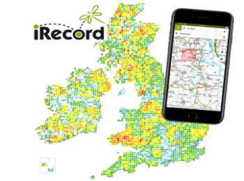 iRecord app and map of records
