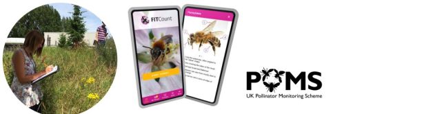 App and website boost pollinator surveys