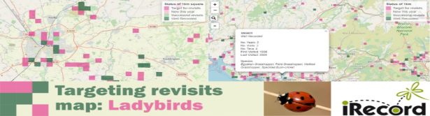 Targeting Revists Maps now available for Grasshoppers, Craneflies, Ground beetles, Soldierflies and Ladybirds