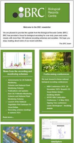 Screenshot of the start of the BRC NEwsletter