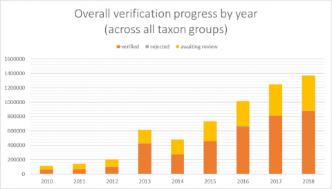 Records added and verified via iRecord