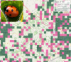 Targeting revists map with inset ladybird image
